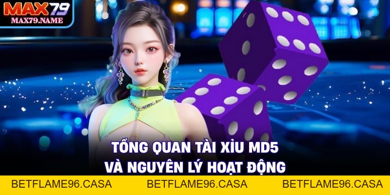 Tài Xỉu MD5 - Giải Mã Thuật Toán Cược Minh Bạch - betflame96.casa